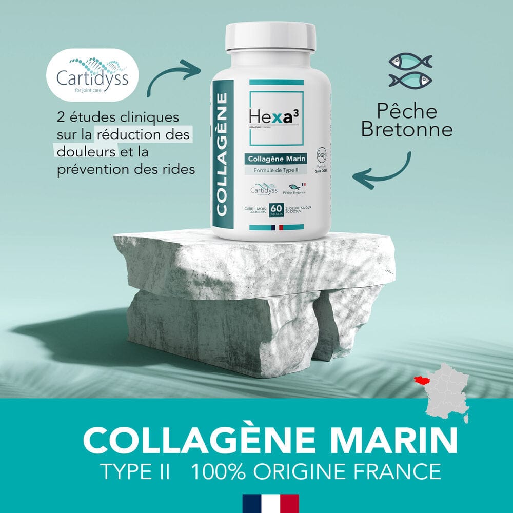 60 Gélules Collagène Marin Français Type II CARTIDYSS - Image 2