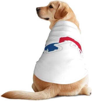61XwpBpXL8L._AC_SL1500_.jpg Vêtement amusant pour chien avec imprimé carte du Panama - Lavable en machine - Pour chiens de taille moyenne et grande
