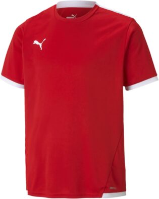 PUMA TeamLIGA Children's and Teenagers Football Jersey