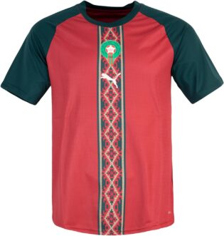 71P1MDXX5JL._AC_SL1500_.jpg PUMA Maillot Maroc Warm Up en jersey