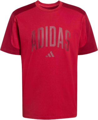 8199nNPz9iL._AC_SL1500_.jpg adidas Collegiate Men's T-Shirt (Pack of 1)