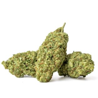 bubble-gum-indoor-cbd-17-7-2-grammes-966710070.jpg Bubble Gum (Indoor) - CBD 17,7%