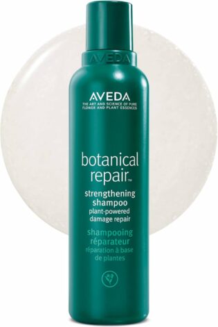 Aveda Botanical Repair Shampooing Réparateur