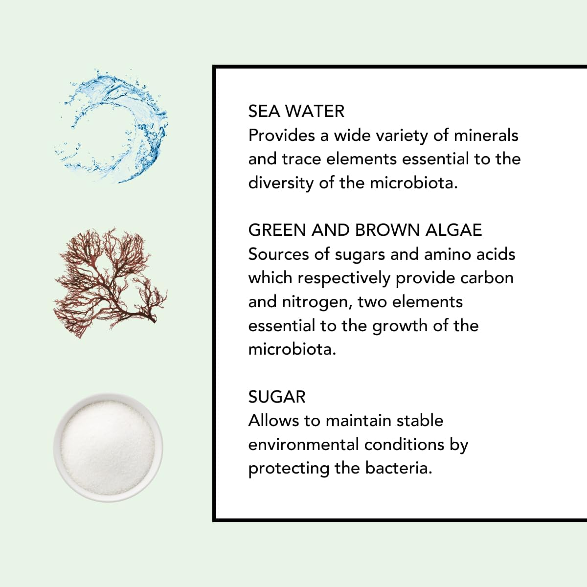 Lierac - Démaquillants - La Mousse Nettoyante 150ml - Hygiène Visage - Prébiotiques - Nettoie - Purifie - Apaise - 99% d'ingrédients d'origine naturelle - Tous types de peaux même sensibles - Image 2