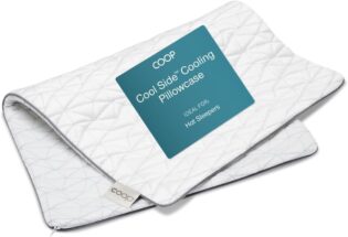 51JlZslZgfL._AC_SL1000_.jpg Coop Home Goods - Taie d'oreiller rafraîchissante pour Les dormeurs Chauds – Technologie Lulltra Cool – Viscose Rayonne et Jacquard dérivée de Bambou – Taie d'oreiller Lisse et Respirante des Deux