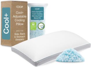 Coop Home Goods Cool+ Oreiller réglable en Mousse à mémoire de Forme rafraîchissante, Soutien du Cou, pour Dormir sur Le Ventre ou Le côté, CertiPUR US/GREENGUARD Gold, King-Size