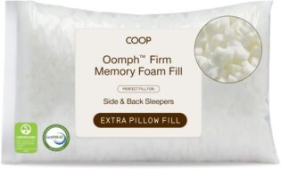 Coop Home Goods Oreiller réglable en Mousse à mémoire de Forme déchiquetée – Recharge – Mousse 0,9 kg