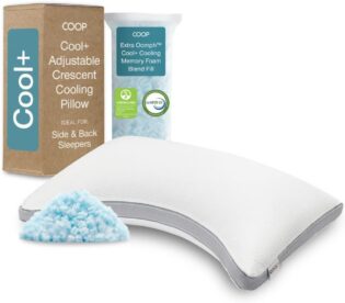51UQkCZgqBL._AC_SL1000_.jpg Coop Home Goods Cool+ Oreiller réglable en Mousse à mémoire de Forme rafraîchissante, Soutien du Cou, pour Dormir sur Le Dos ou Le côté, CertiPUR US/GREENGUARD Gold, Taille Queen