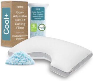 51lFlgOpOOL._AC_SL1000_.jpg Coop Home Goods Cool+ Oreiller réglable CertiPUR-US/GREENGUARD Gold avec découpe pour Les épaules et Gel rafraîchissant, Coussin de positionnement latéral et Soutien du Cou - King Size