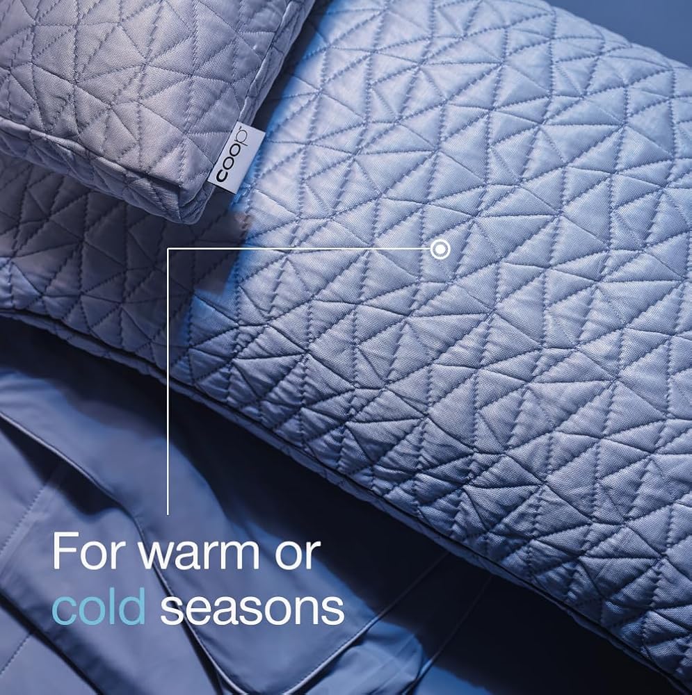 Coop Home Goods - Taie d'oreiller rafraîchissante pour Les dormeurs Chauds – Technologie Lulltra Cool – Viscose Rayonne et Jacquard dérivée de Bambou – Taie d'oreiller Lisse et Respirante des Deux - Image 6