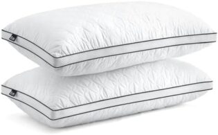 41HxoadRQqL._AC_SL1000_.jpg BedStory Lot de 2 oreillers 40 x 80 cm, en Microfibre, Respirants et lavables, idéaux pour Un Sommeil réparateur Profond, certifié Öko-Tex