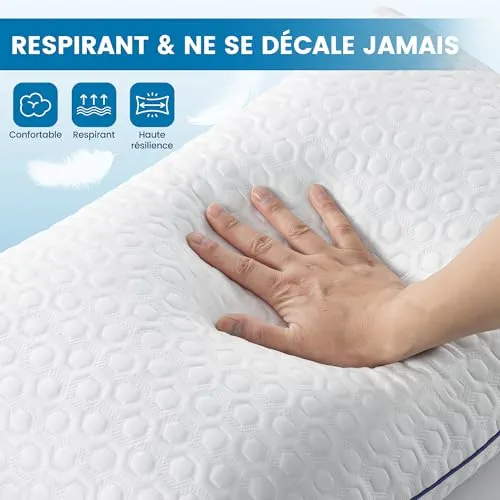 BedStory Oreillers Rafraîchissant - Lot de 2 - Mémoire Forme - 40x60CM