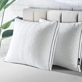 amz-419hp0jl5ll-7e21b349 BedStory Oreiller 60x60 Lot de 2, Anti-Acariens à Faible Garnissage Microfibre Hypoallergénique, Qualité Hôtel Moelleux et Respirant, Convient Allongées sur Le Côté Dos Blanc