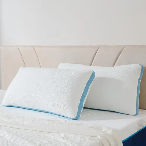 Hiimgo Lot de 2 oreillers 40 x 80 cm - En mousse à mémoire de forme - Réglable en hauteur - Lavables - Avec rembourrage réglable - Avec fermeture éclair