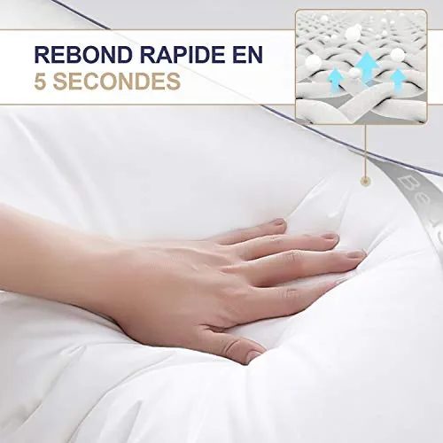 BedStory Lot de 2 Oreillers 50 x 70CM, en Microfibre de Haute Qualité, Respirant avec Maille, Doux et Confortable, Anti-Acarien et Hypoallergénique