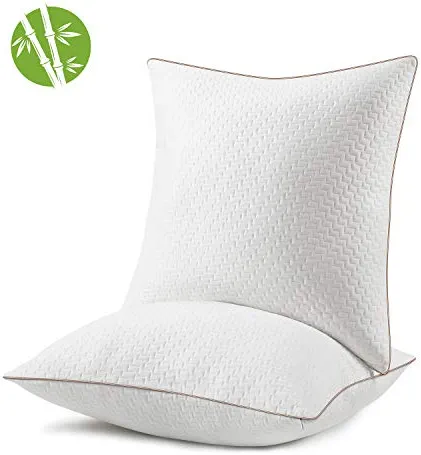 BedStory Oreiller 65x65CM - Lot de 2 - avec Fibres de Bambou - Qualité Luxe
