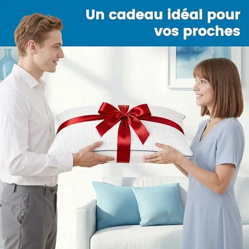 BedStory Oreillers Rafraîchissant - Lot de 2 - Mémoire Forme - 40x60CM