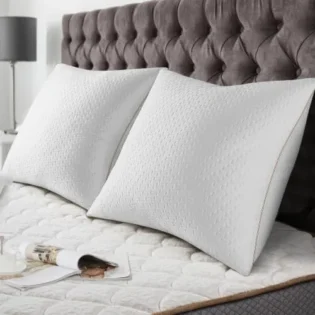 amz-41xbo7xcxhl-9122b683 BedStory Oreiller 65x65CM - Lot de 2 - avec Fibres de Bambou - Qualité Luxe