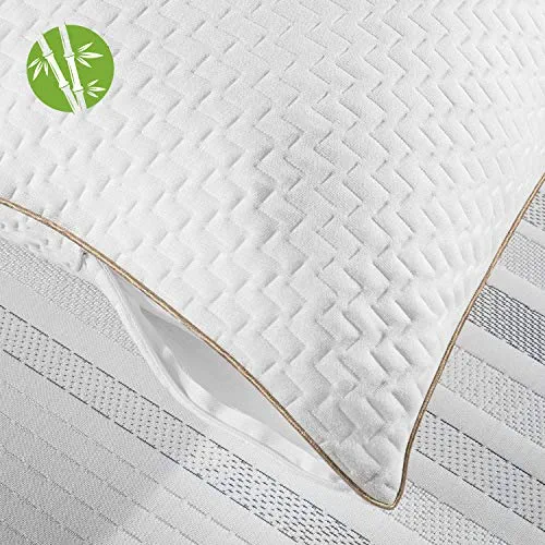 BedStory Oreiller 65x65CM - Lot de 2 - avec Fibres de Bambou - Qualité Luxe