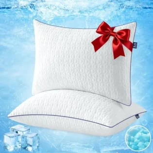 amz-51n3sfpcl6l-e8881317 BedStory Oreillers Rafraîchissant - Lot de 2 - Mémoire Forme - 40x60CM