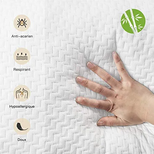 BedStory Oreiller 65x65CM - Lot de 2 - avec Fibres de Bambou - Qualité Luxe