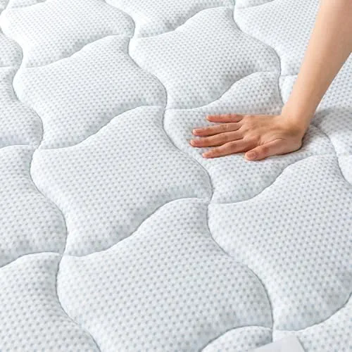 Zinus Matelas 90x190 cm Memoire de Forme Tight Top - Épaisseur 25 cm - Ressorts Ensachés & Mousse Haute Densité - Certification Oeko-TEX - Soutien Ergonomique - Fabriqué Selon Les Normes Françaises